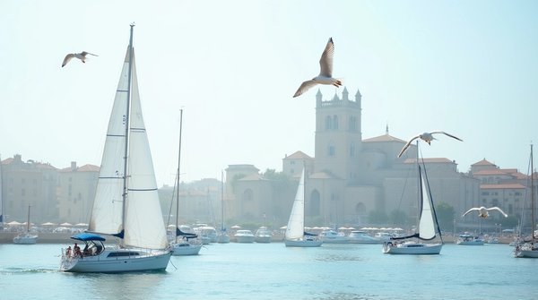 Nettoyage professionnel à pornic : services adaptés à vos besoins